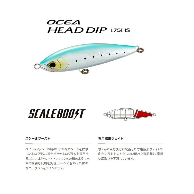 ヘッドディップ 175HS Nイワシミント (2)