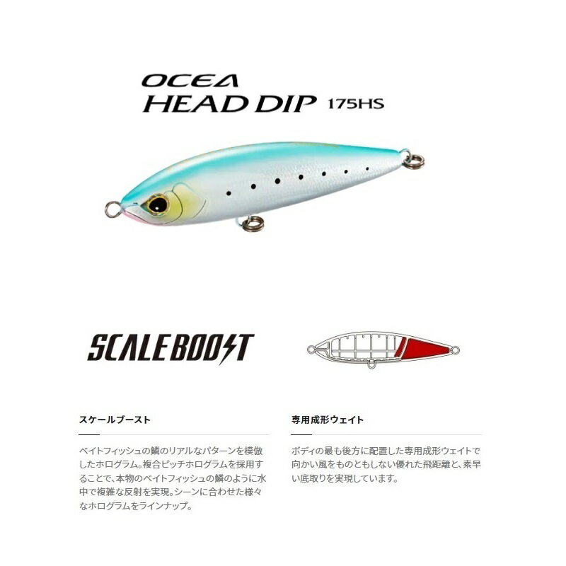 ヘッドディップ 175HS アルミサンマ (2)