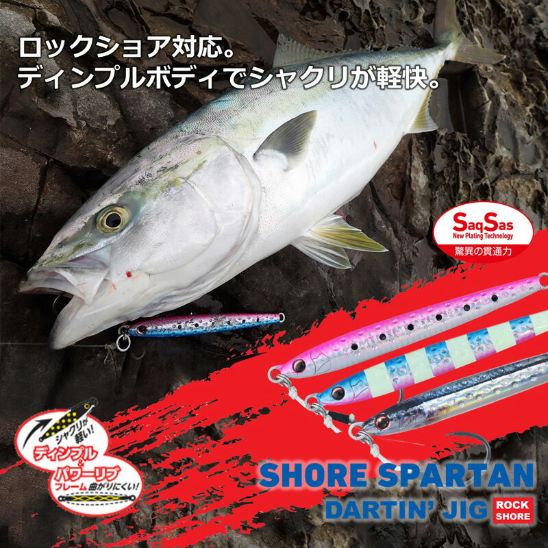 【9/5限定クーポン有】　ダイワ　ショアスパルタン ダーティンジグ 65g リアルグローイワシ　【釣具　釣り具】