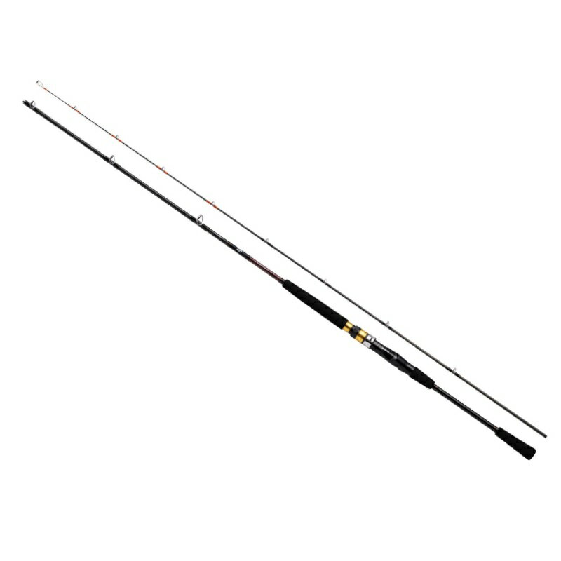 DAIWA - ダイワ　シーフレックス 64 50-240・N