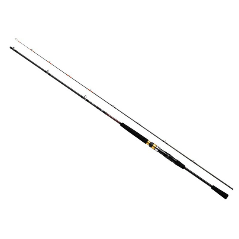 ダイワ(Daiwa)　シーフレックス 64 50-270・N　【釣具　釣り具】