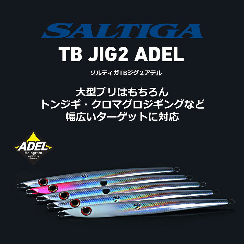ソルティガTBジグ2アデル 140g ケイムラグローパープルバック の商品画像3枚目