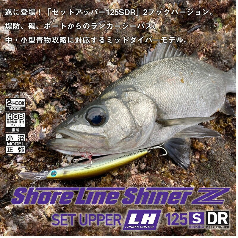 ショアラインシャイナーZセットアッパーLH125SDR CアデルKMピンクイワシ の商品画像2枚目