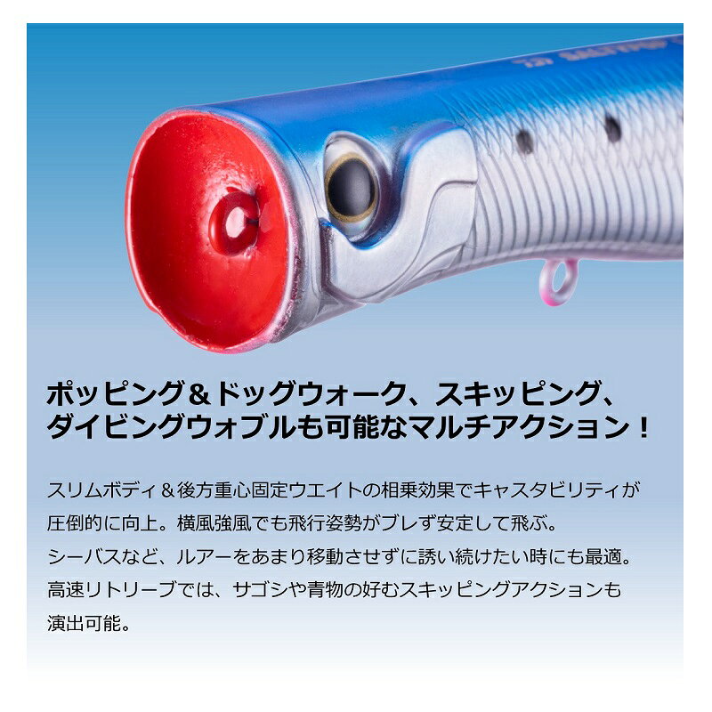 ソルティーポップ95F マットチャート の商品画像3枚目