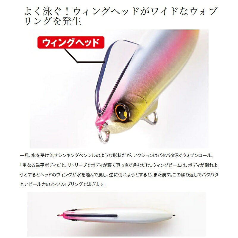 ウィングビーム 80HS AクリアPイワシ の商品画像3枚目