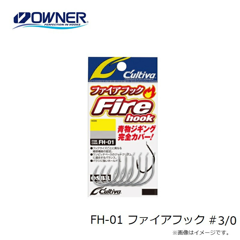 �����ʡ���FH-01 �ե������եå� #3/0