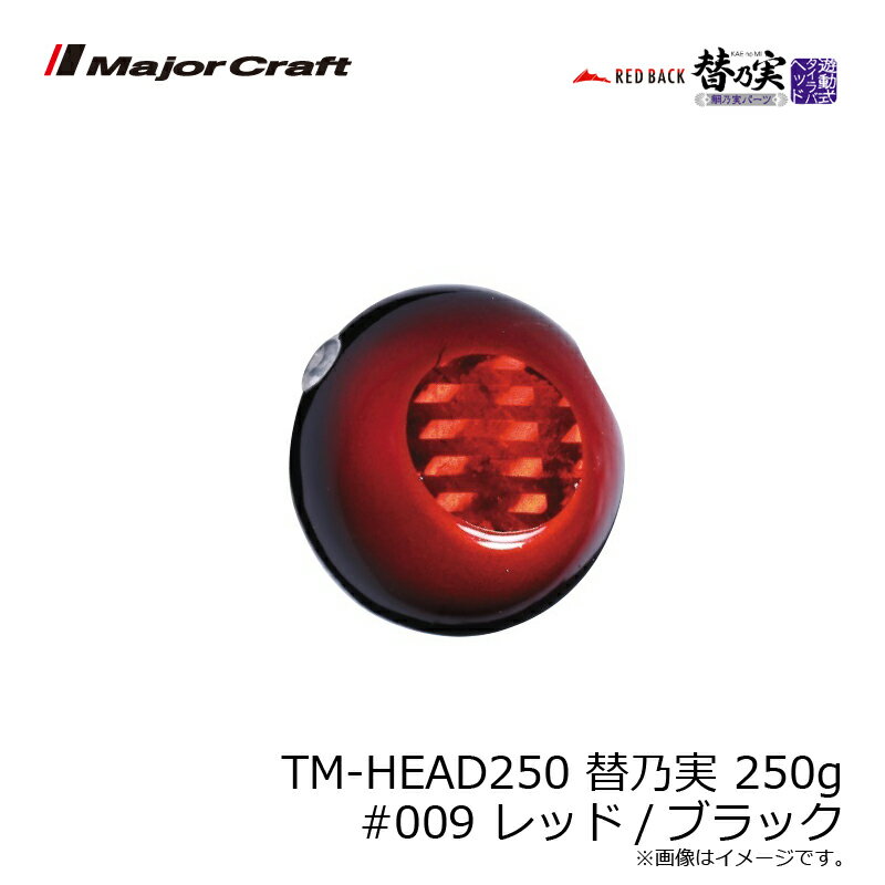メジャークラフト TM-HEAD250 替乃実...の紹介画像3