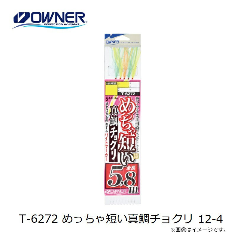 �����ʡ���T-6272 ��ä���û��������祯�� 12-4