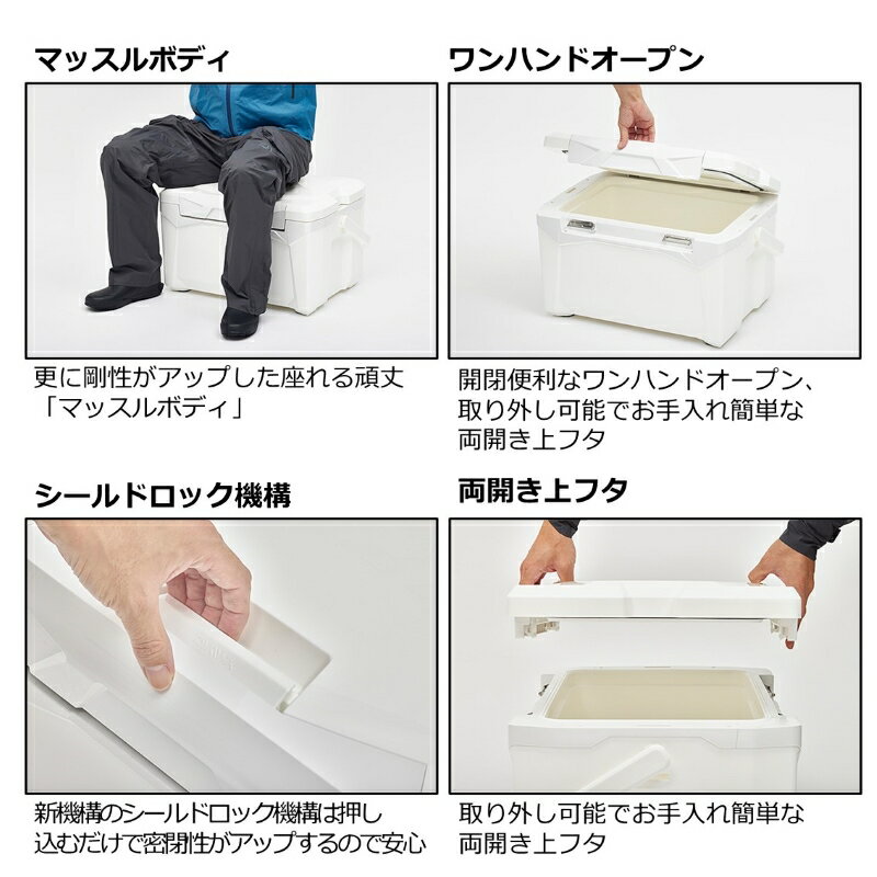 ダイワ　プロバイザーREX S1600 レッド　【釣具　釣り具】