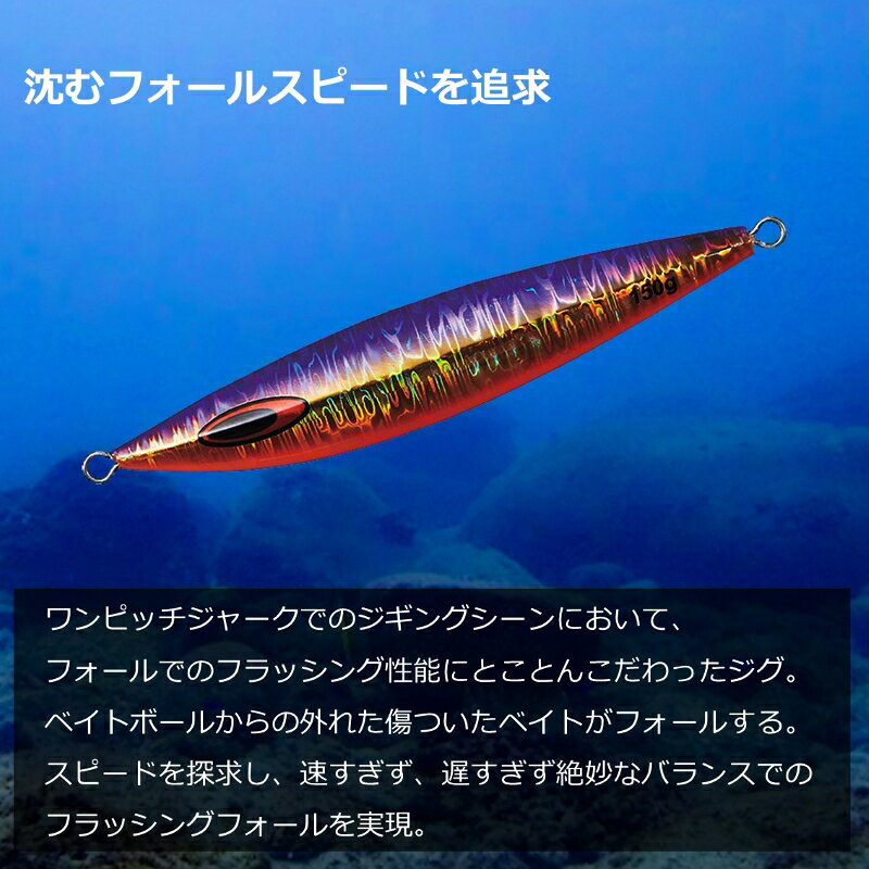ソルティガFKジグ210g MGブルーバックゴールドRB の商品画像3枚目