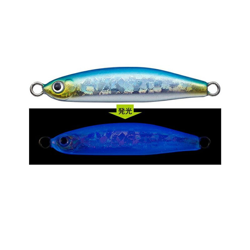 Metal Jig - エバーグリーン　チャムジグ5.0g #849 イワシ・UV　【釣具　釣り具】