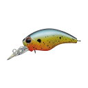 エバーグリーン ワイルドハンチSR #381 ブリーディングサンフィッシュ 【釣具 釣り具】
