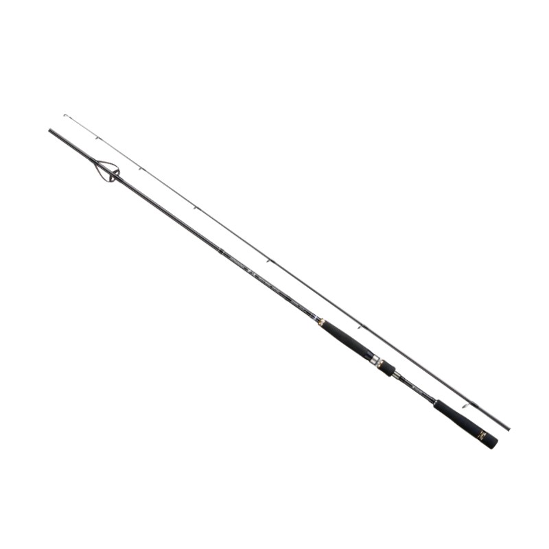 宇崎日新　DREAMS 夢追 TORZITE RV 802LS　【釣具　釣り具】