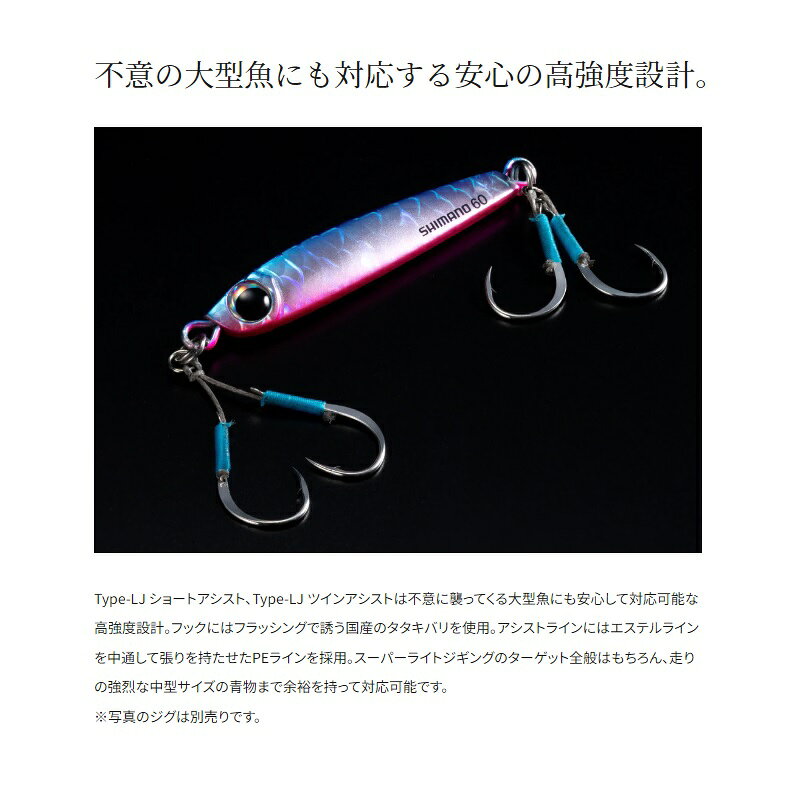 タイプLJ アシスト M の商品画像2枚目