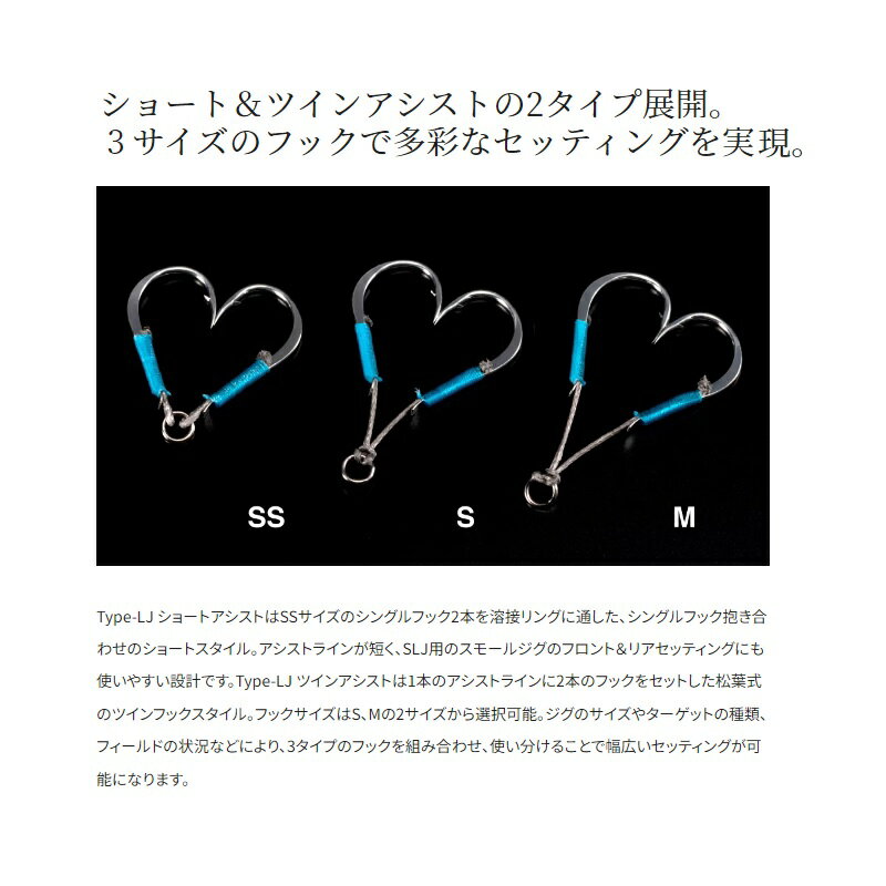 タイプLJ アシスト SS (3)