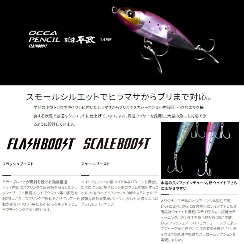 別注平政 145F フラッシュブースト Nイワシ (2)