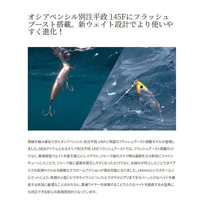別注平政 145F フラッシュブースト Aオレンジ の商品画像3枚目