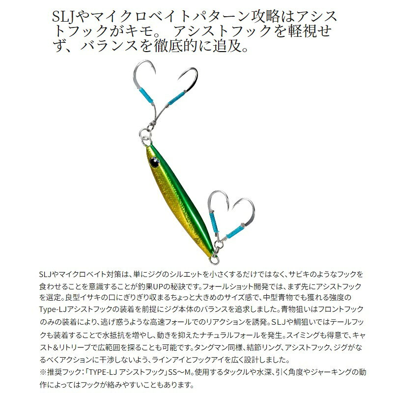 フォールショット 60g フォールショット 60g フルシルバー (3)