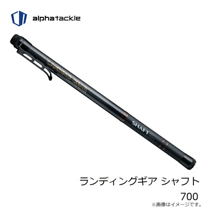 �����ƥå������ǥ��󥰥��� ����ե� 700