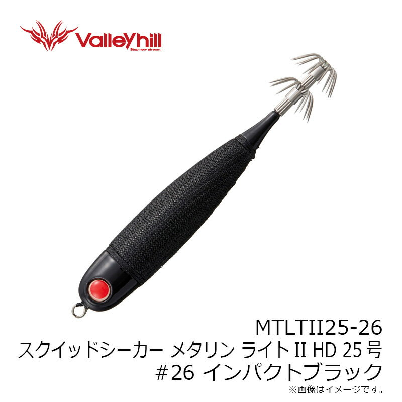 バレーヒル MTLTII25-26 スクイッド...の紹介画像3