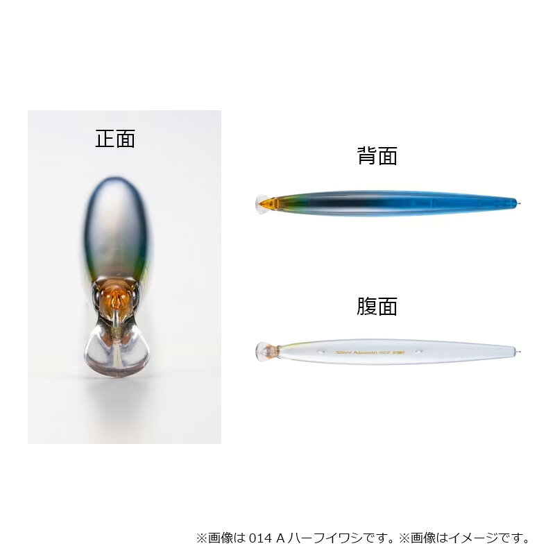 サイレントアサシン 160F ジェットブースト Tクリアイワシ (2)