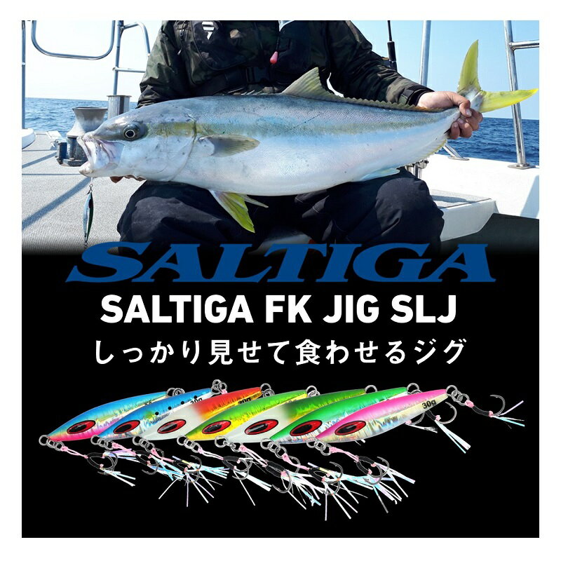 ソルティガFKジグSLJ45g PHチャートグローベリー (2)
