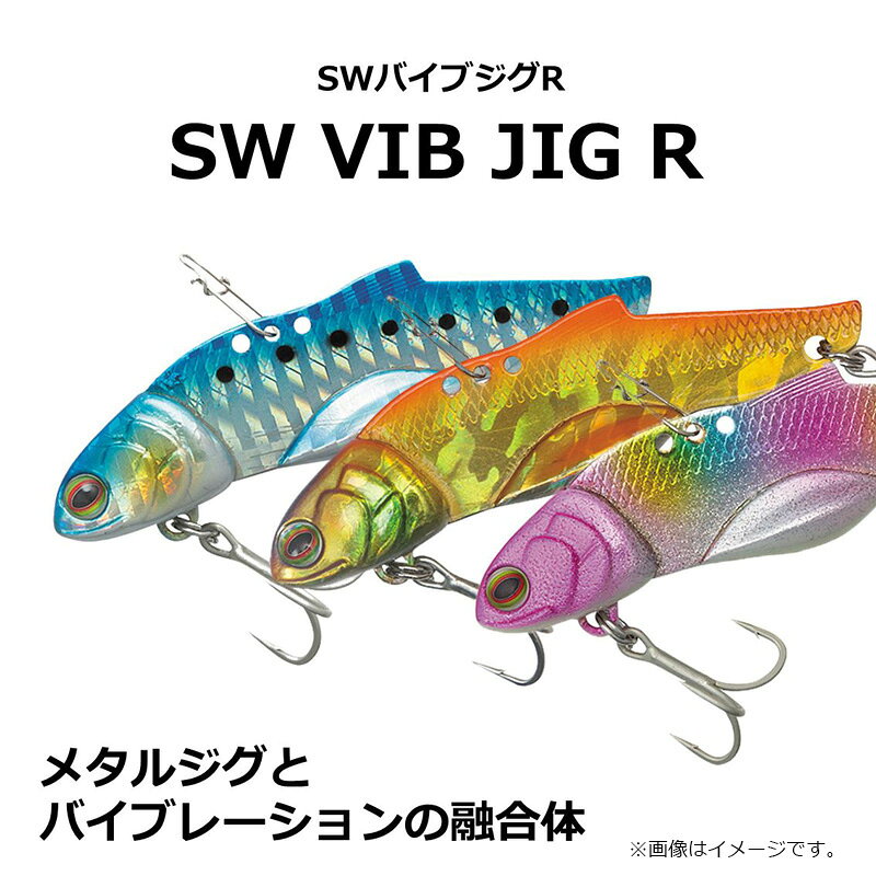 SWバイブジグR60 不夜城 の商品画像2枚目