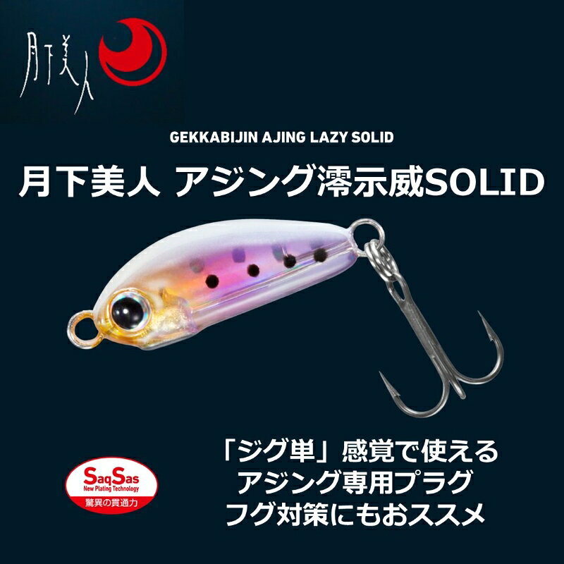 月下美人 アジング澪示威SOLID20S ホロ宵シラス の商品画像2枚目