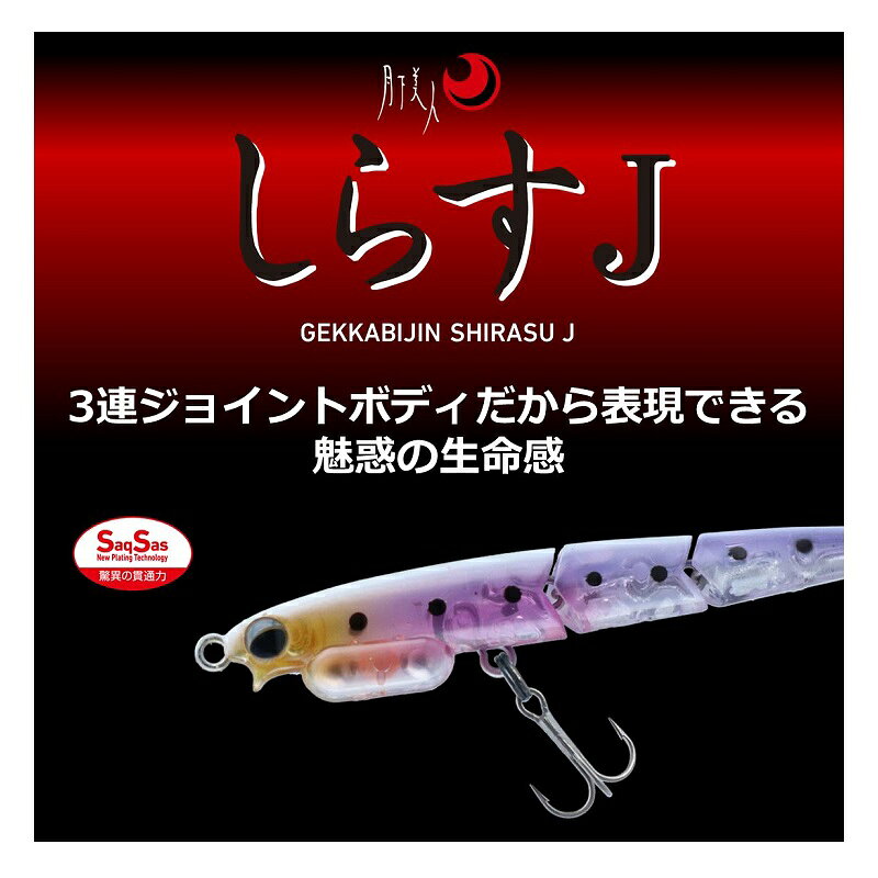 月下美人 シラスJ55SS 金アミチラシ の商品画像2枚目