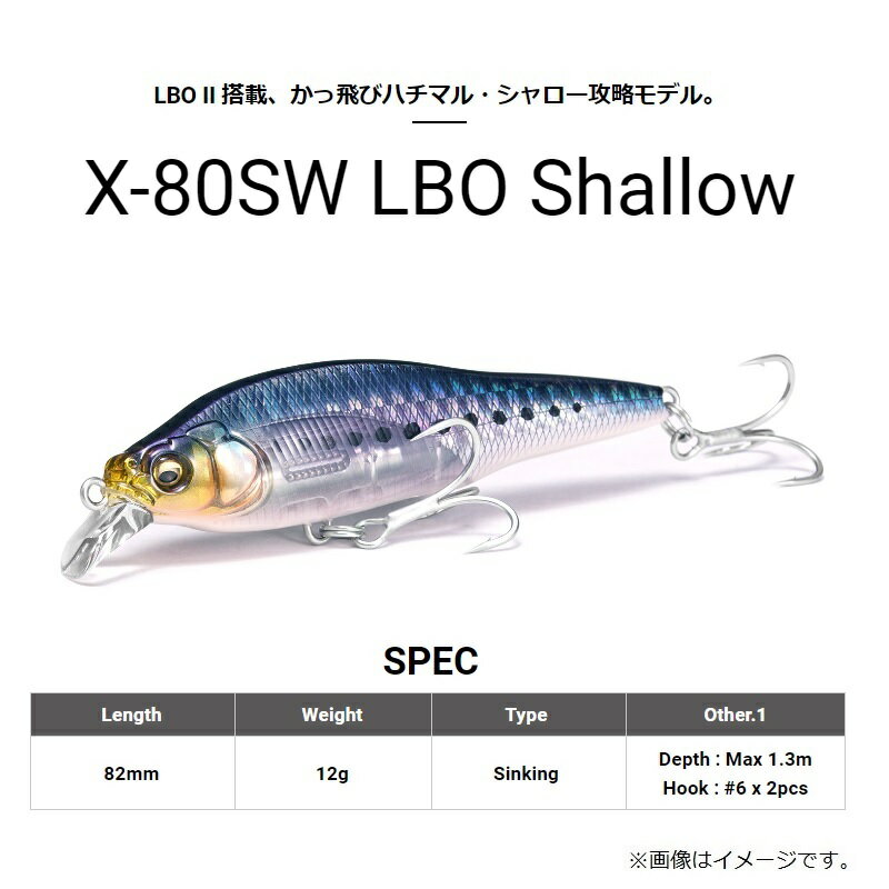 メガバス　X-80SW (ハチマル) LBO SHALLOW #ドチャートOB 2