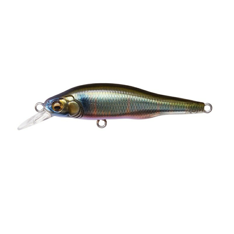 メガバス X-80Jr. #FAオイカワ♂