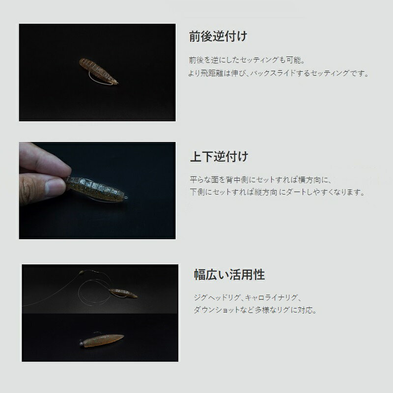 ガラパゴス　オクラスティック 2インチ #34 シナモングリーン