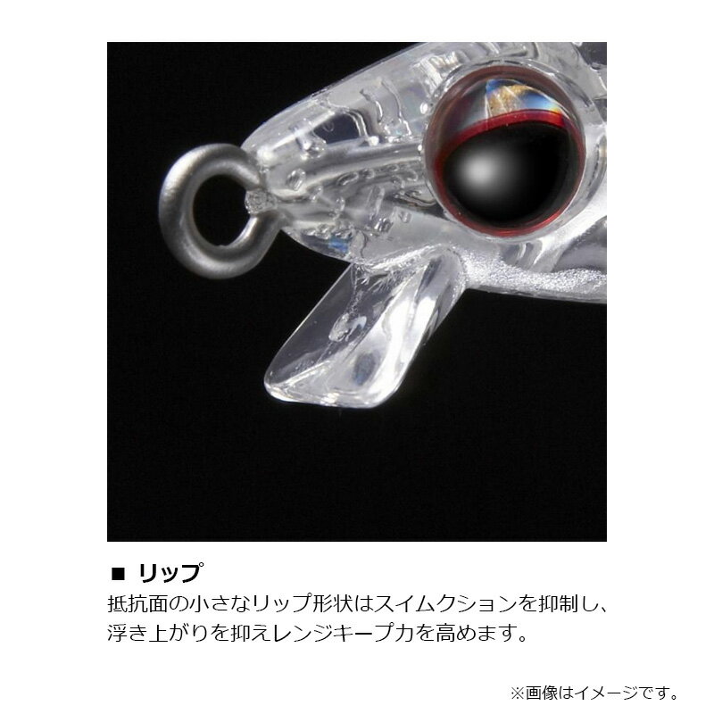 エバーグリーン オネスティ 95S #866 ...の紹介画像3