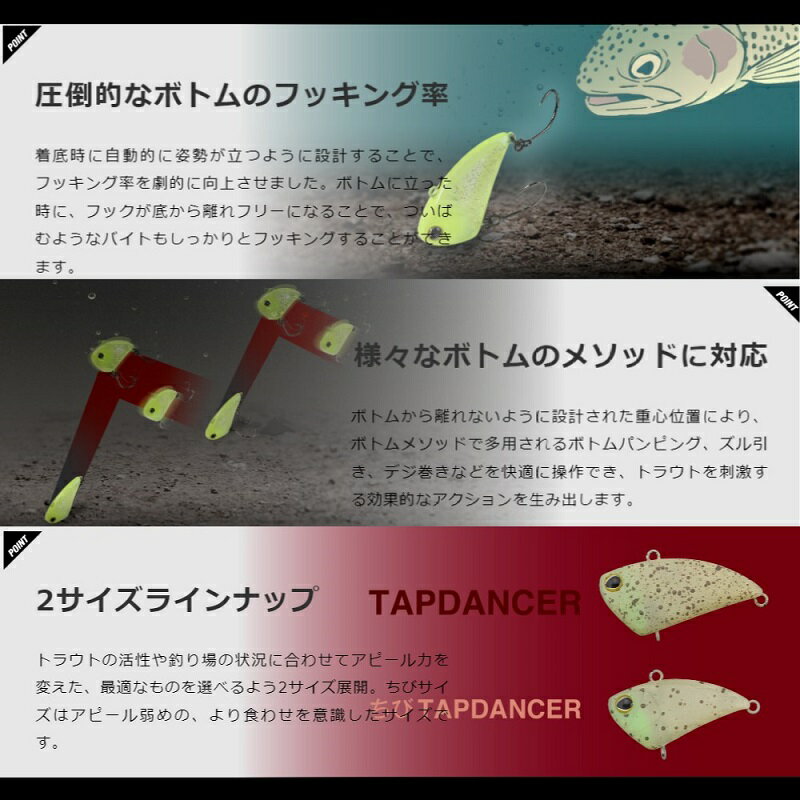 ティモン　ちびタップダンサー ダイゴチアシード