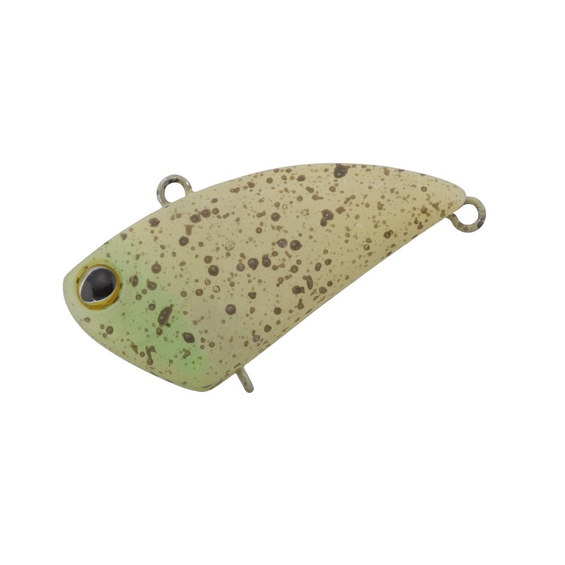 ティモン　タップダンサー ダイゴチアシード