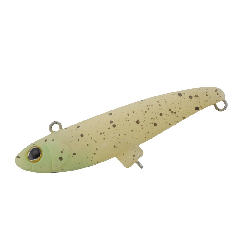 ティモン　ダートラン ダイゴチアシード