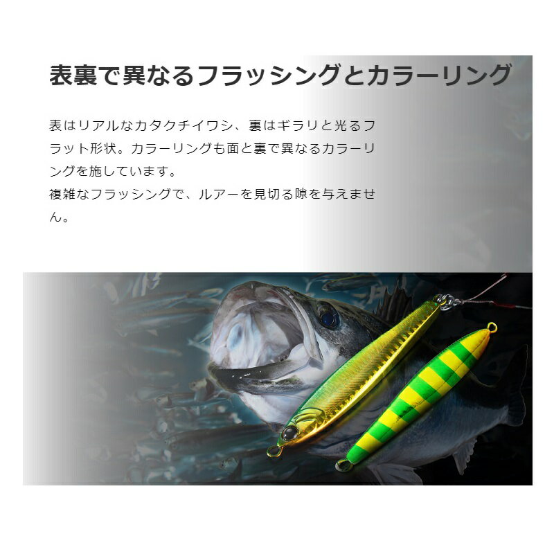 シーバスアンチョビメタル 80g グリキンボーダー (3)