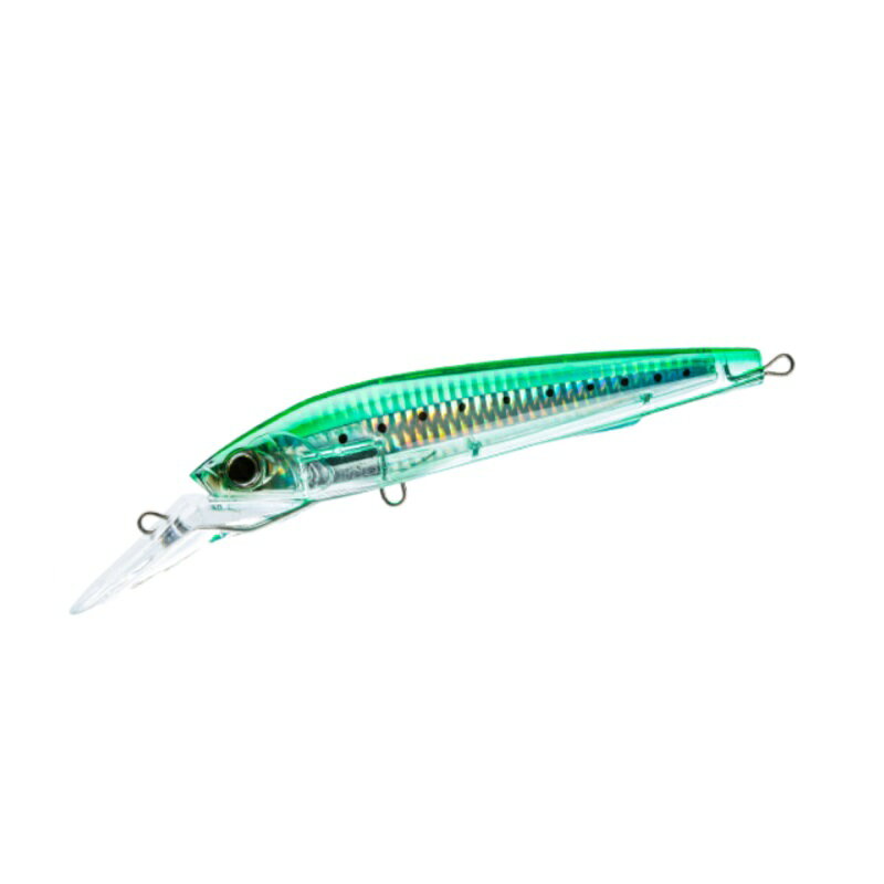 Duel 3D Magnum (S) 160mm CPNI Iwashi