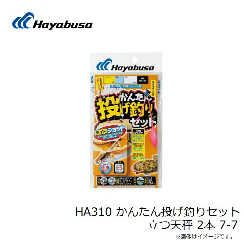 ハヤブサ HA310 かんたん投げ釣りセット ...の紹介画像3