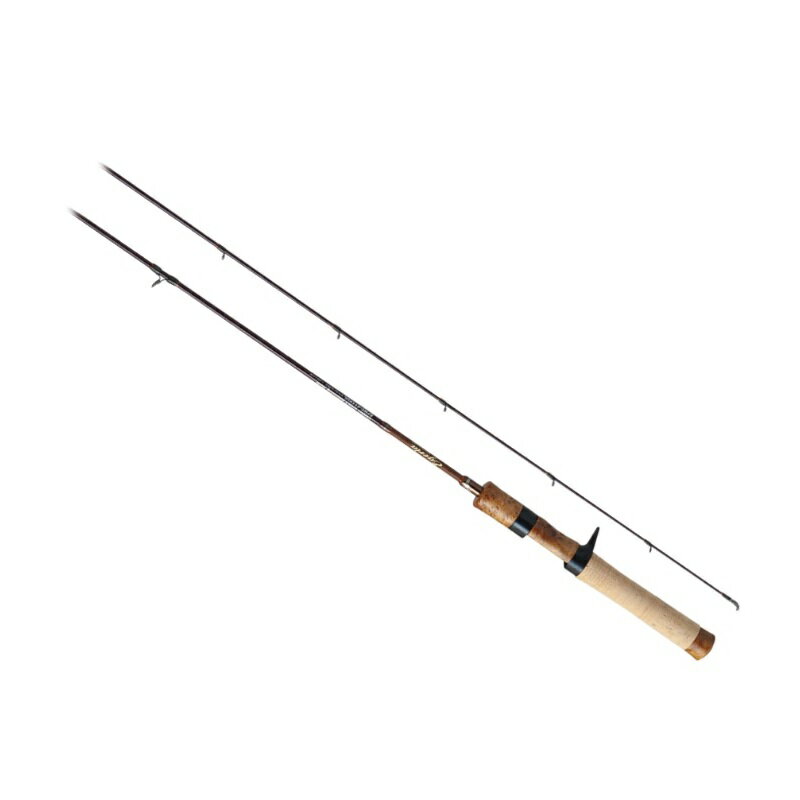 パームス　エゲリアネイティブ EFNC-411XUL