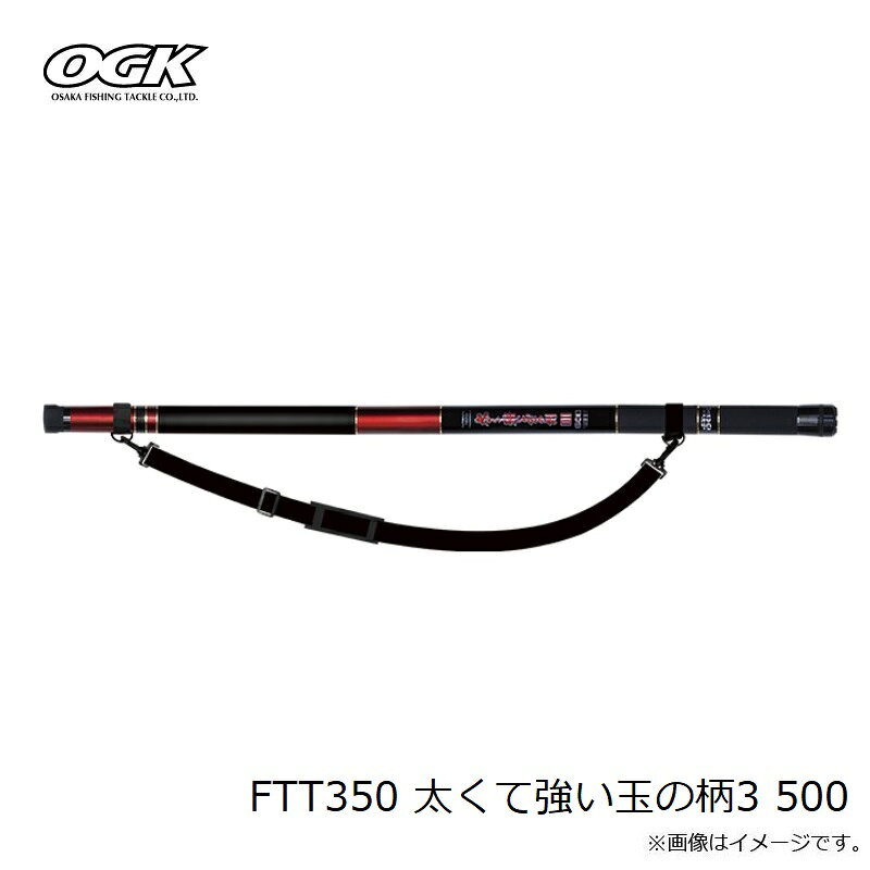 釣具のFTOの大阪漁具　FTT350 太くて強い玉の柄3 500｜アングル2