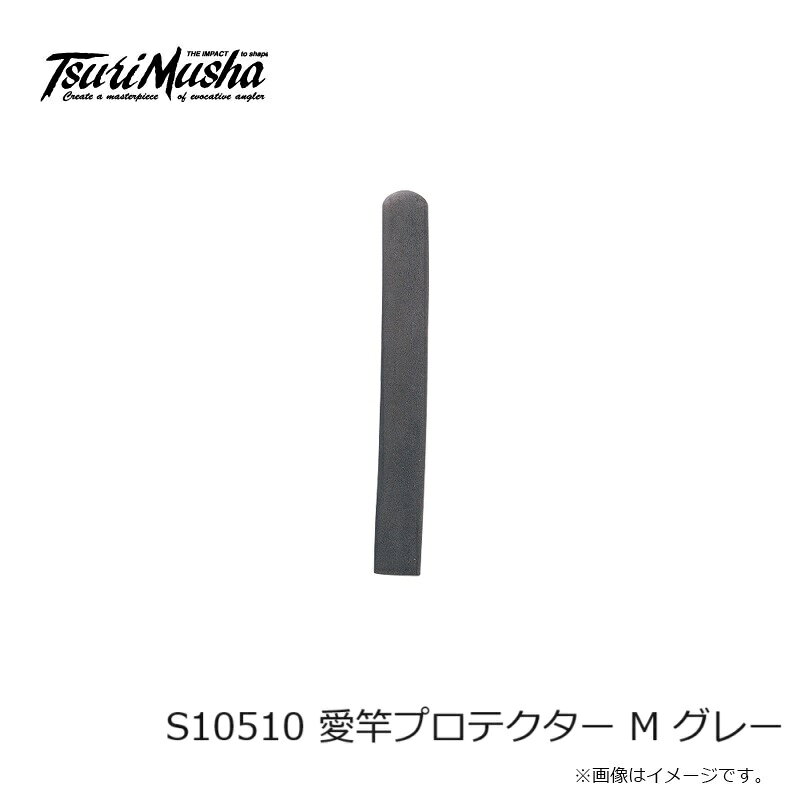 ����ԡ�S10510 ���ȥץ��ƥ����� M ���졼