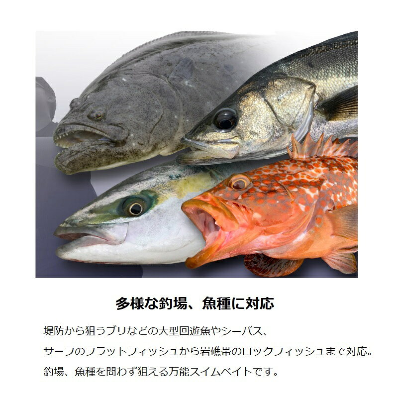 ビッグバッカー ワグシャッド 15g 伊賀ピン の商品画像2枚目