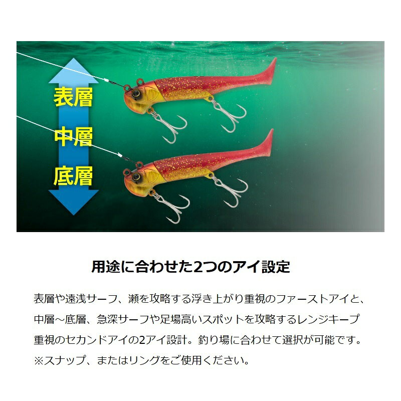 ビッグバッカー ワグシャッド 15g 伊賀ピン の商品画像3枚目