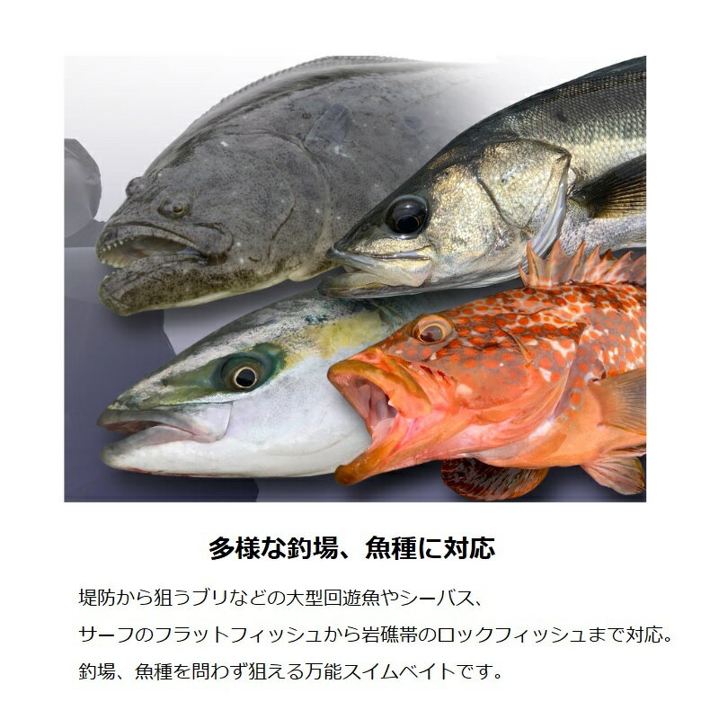 ビッグバッカー ワグシャッド 22g 伊賀ピン (2)
