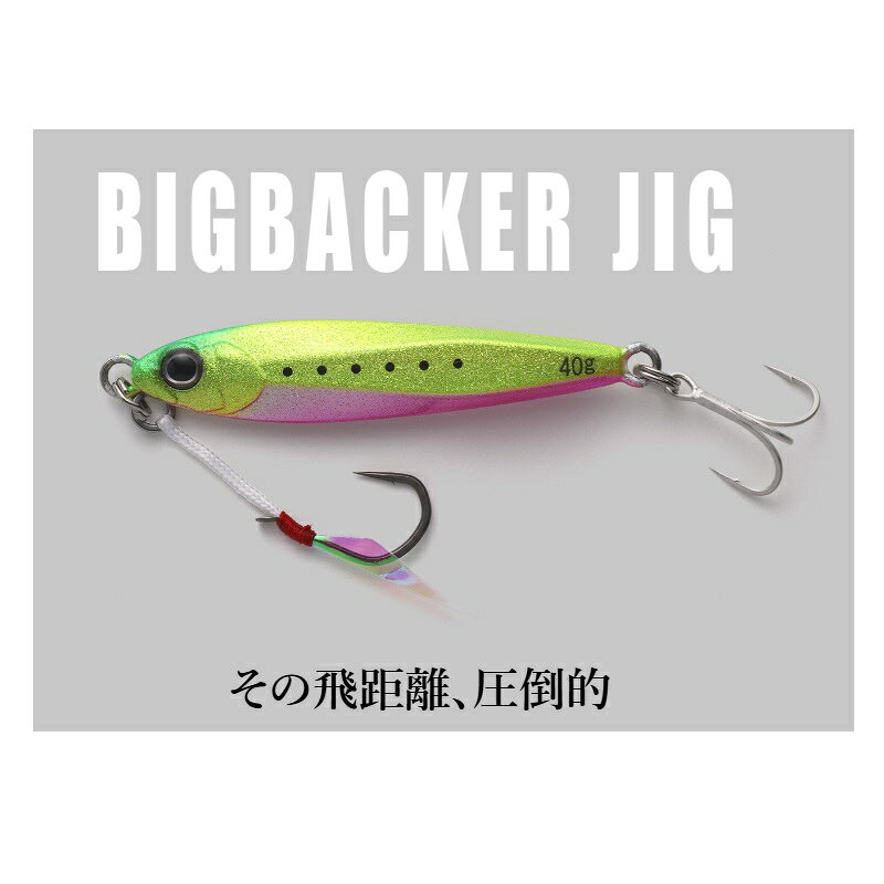 ビッグバッカー ジグ 30g 伊賀GBキス の商品画像2枚目