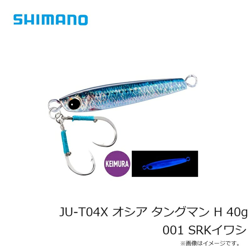 タングマン H 40g SRKイワシ の商品画像3枚目