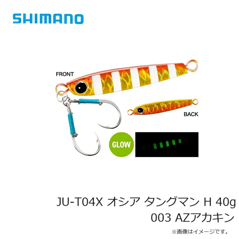 タングマン H 40g AZアカキン の商品画像3枚目