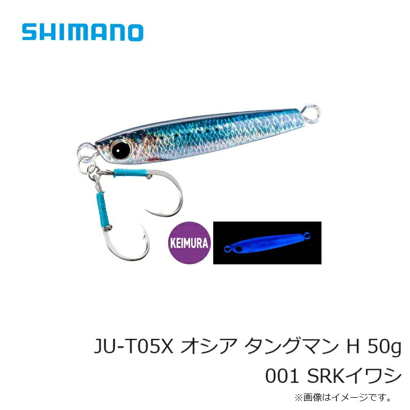 タングマン H 50g SRKイワシ の商品画像3枚目