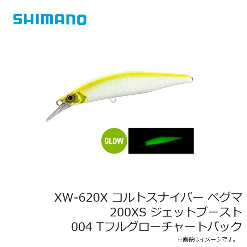 ペグマ 200XS ジェットブースト Tフルグローチャートバック (3)
